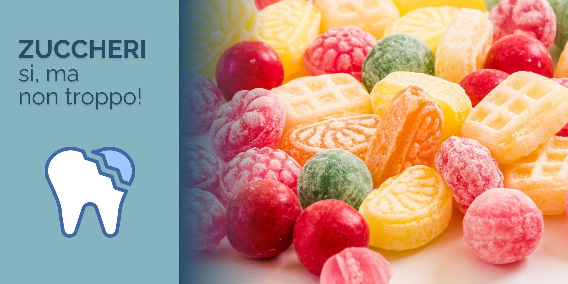 GRAFICHE SITO_FIORILE (9)